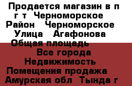 Продается магазин в п.г.т. Черноморское  › Район ­ Черноморское › Улица ­ Агафонова › Общая площадь ­ 100 - Все города Недвижимость » Помещения продажа   . Амурская обл.,Тында г.